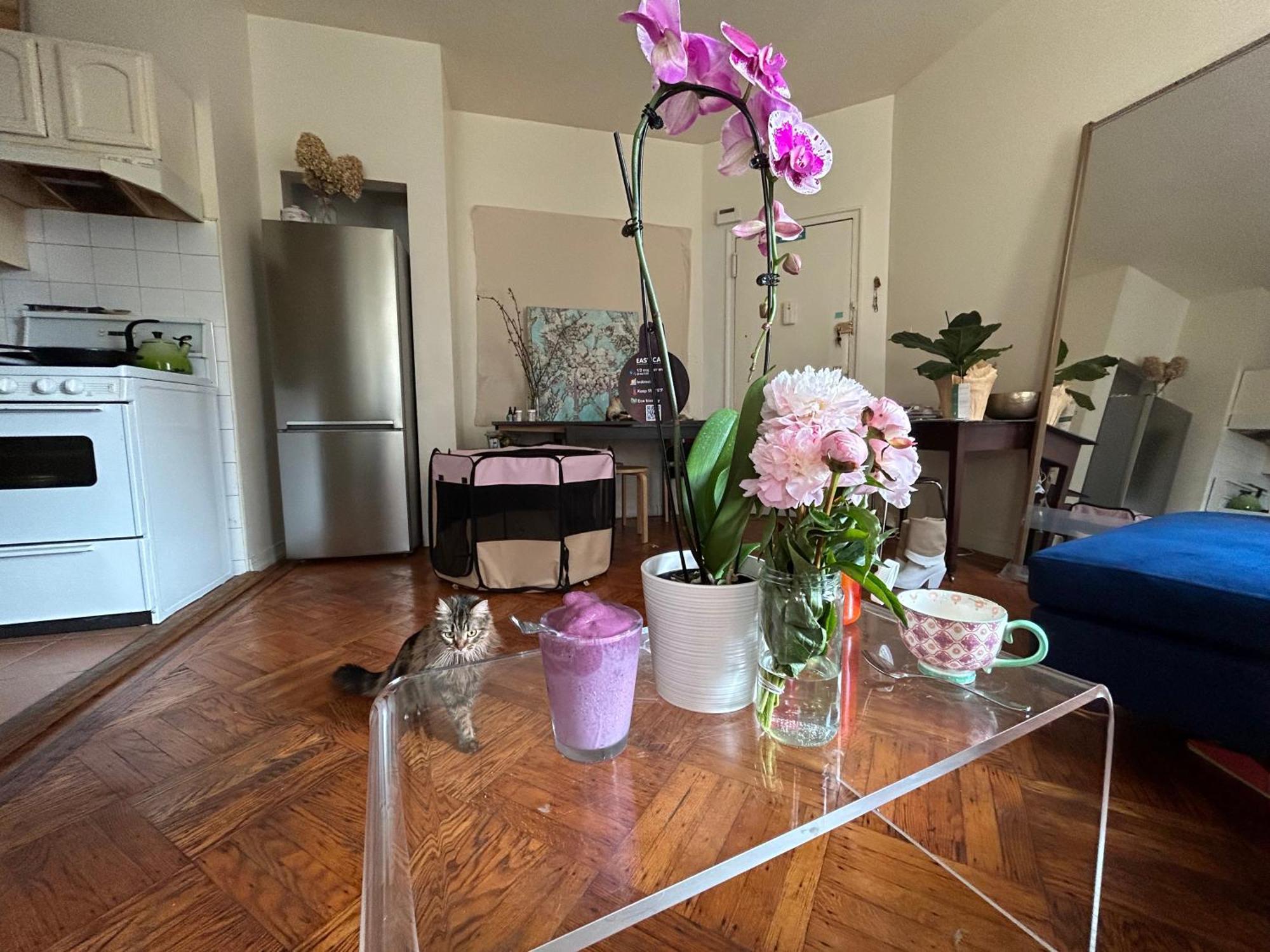 Bright Artist 2 Bedroom - One Block From Prospect Park - Across From The Train Pangsapuri New York